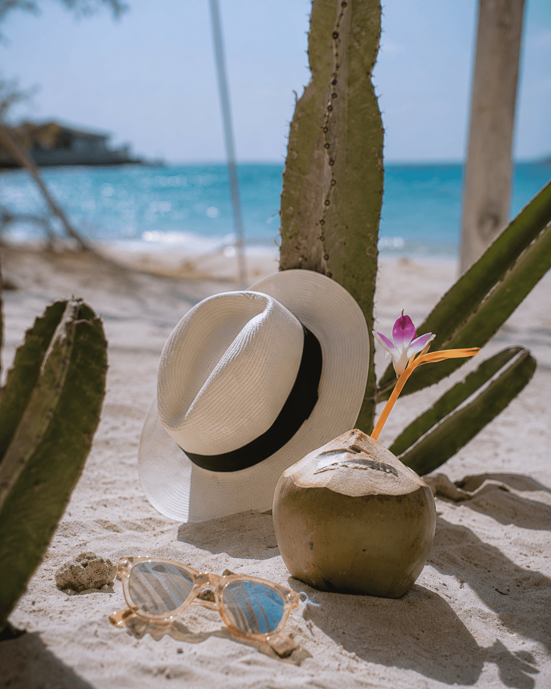 Beach still life — hat, coconut, sunglasses