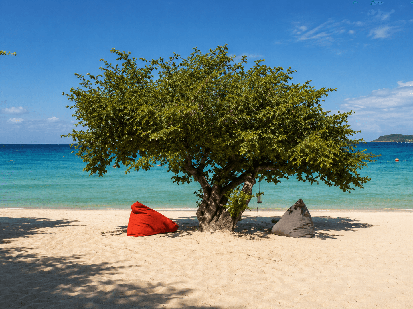 Beach Equipment