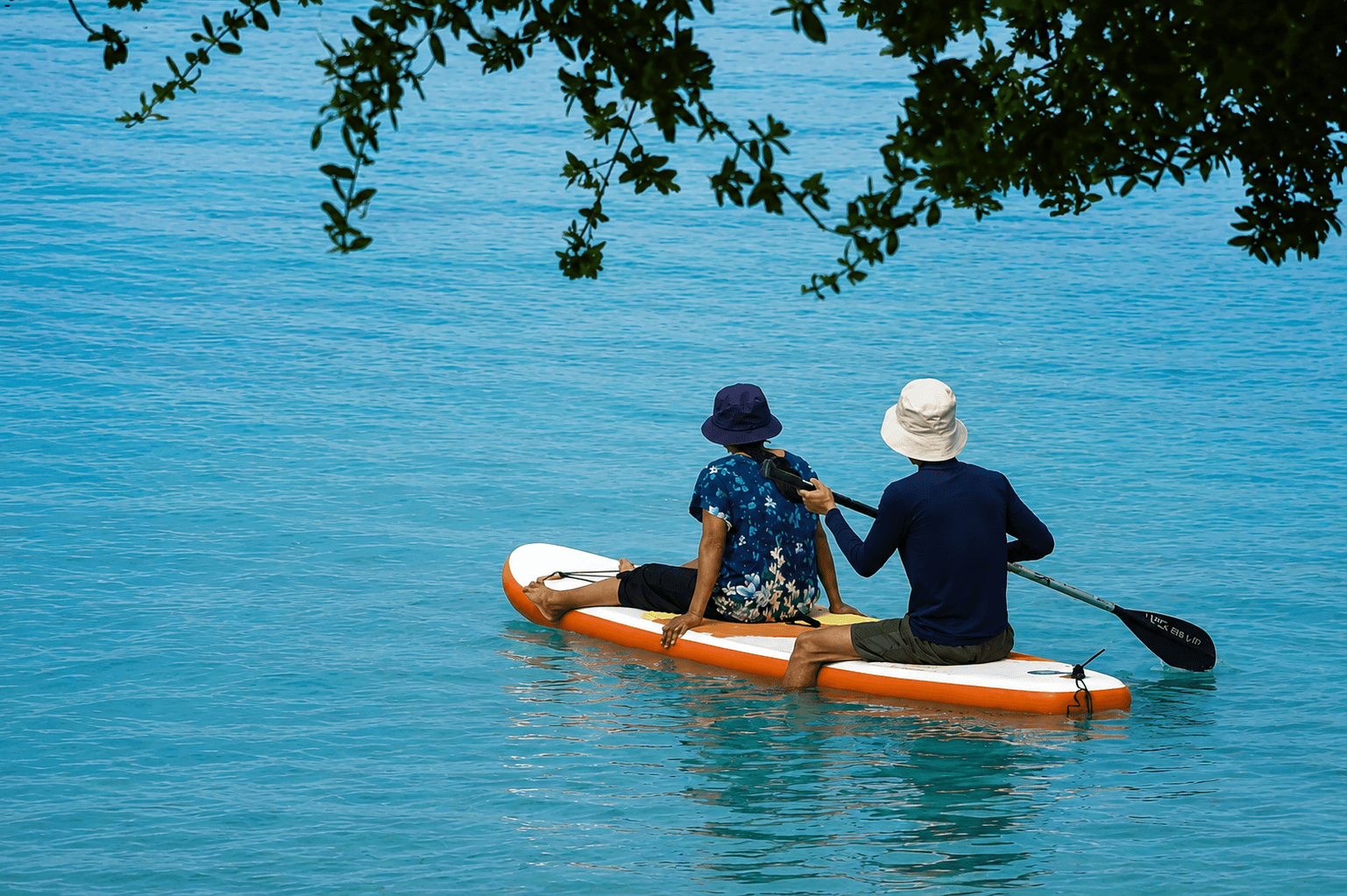 Paddle Board